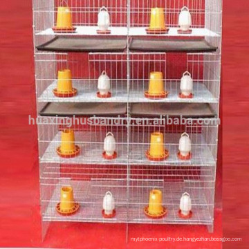 Direkten Hersteller hochwertigen billig Baby Huhn coop Designs